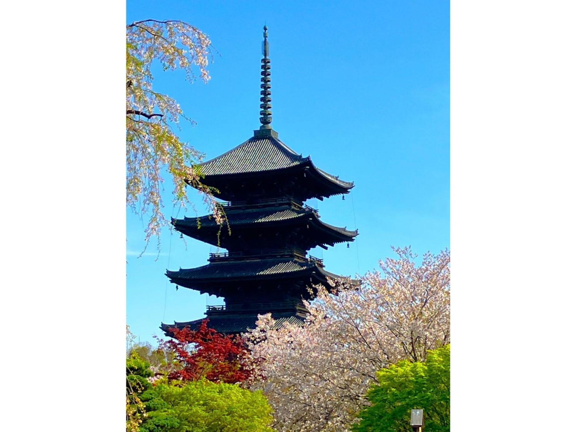 Premium Toji - Vacation Stay 28868V Kyoto Ngoại thất bức ảnh
